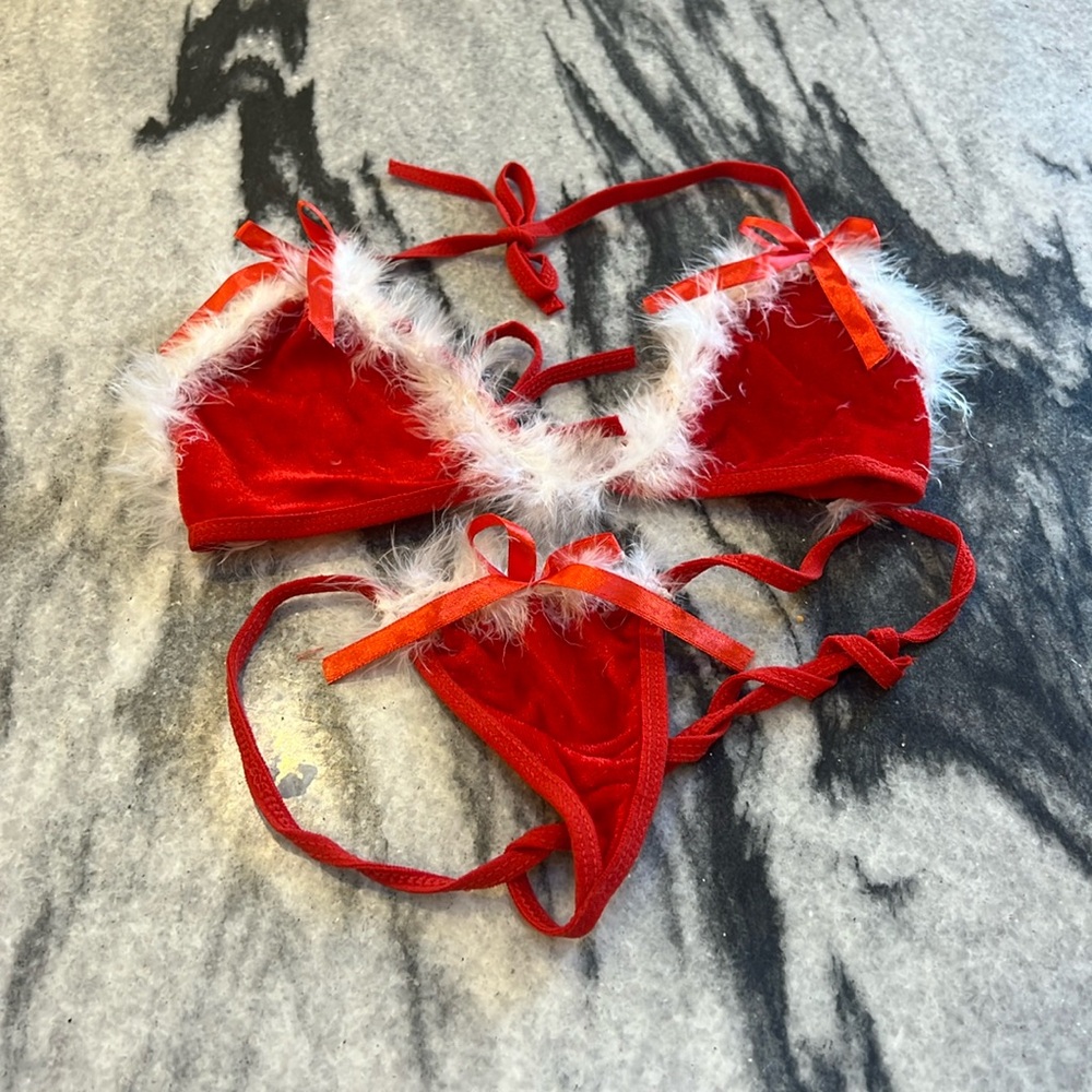 Christmas lingerie NWOT
